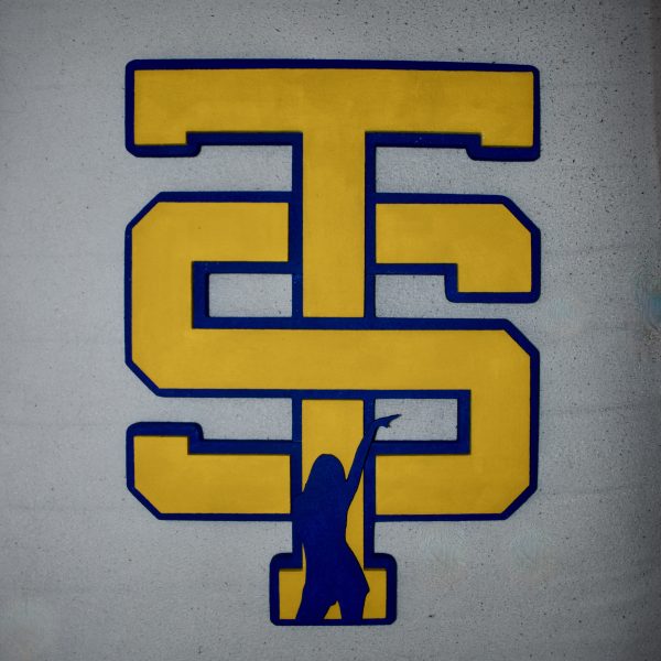 Taylor Swift TS logo